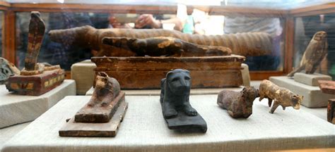 Cat Mummies Rare Mummified Scarab Beetles Found In Tombs In Egypt
