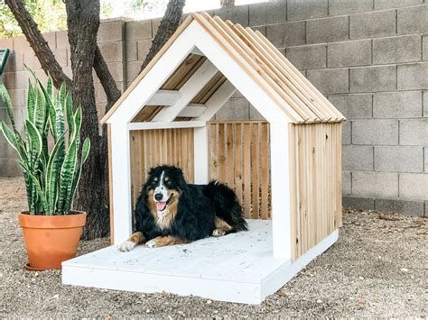 Diy Modern Dog House For Oscar — The Awesome Orange