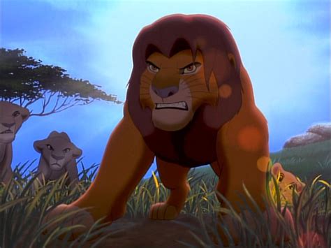Lion King Fight The Lion King 2simbas Pride Wallpaper 23345184