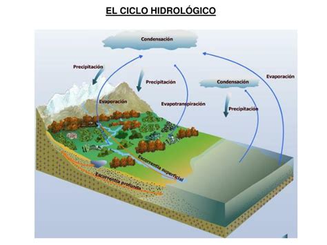 Ppt El Ciclo HidrolÓgico Powerpoint Presentation Free Download Id