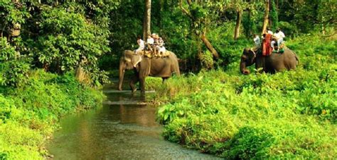 Top 15 Wildlife Sanctuaries In India To Encounter The Wild Dailyhawker™