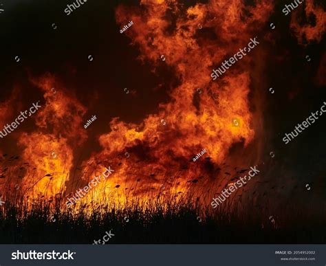 Big Flames On Field During Fire Stock Photo 2054952002 Shutterstock