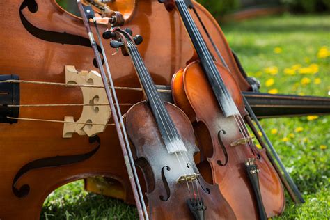 Diferença Entre Viola E Violino Learnbraz