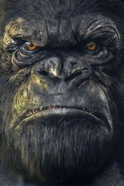 A Close Up Of A Gorilla S Face With An Intense Look On Its Face