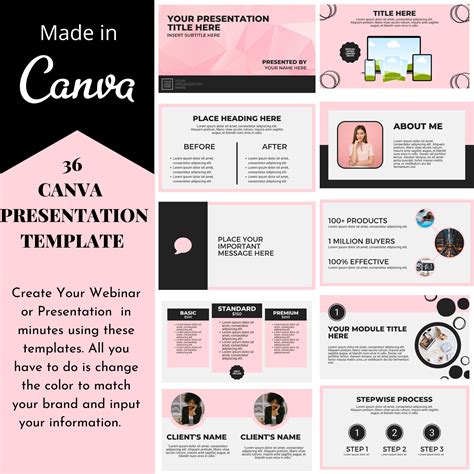 Best Canva Presentation Templates