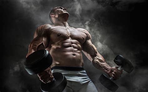 Sports Bodybuilding Muscle Man Hd Wallpaper Peakpx