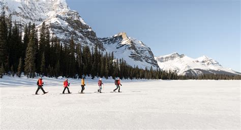 Westar Travel Ltd 4 Day Tour Winter Rockies In Banff Lake Louise