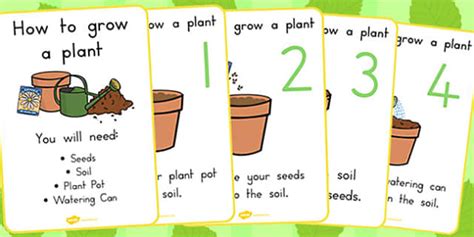 How To Grow A Plant Posters Australia Plant Grow How To