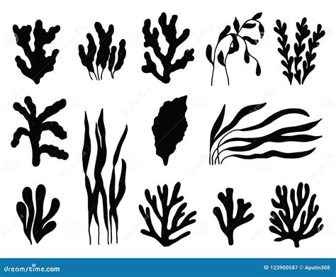 Seaweed Silhouette Isolated Marine Plants On White Background S Stock