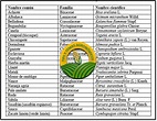 Nombres Comunes Y Cientifico De Plantas