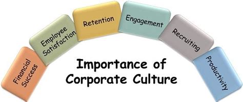 What Is Corporate Culture Definition Characteristics Elements Types