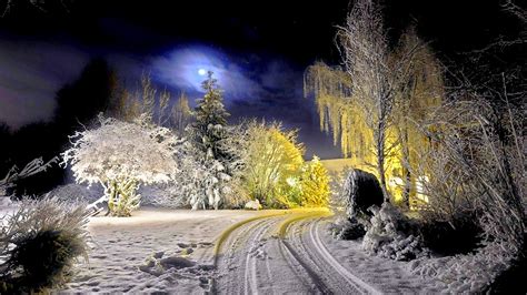 Noapte De Iarnă ~ Peisaje De Iarna