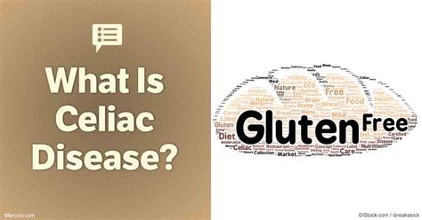 What Is Celiac Disease Things You Need To Know