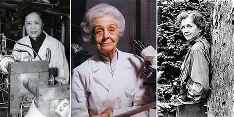 15 Pioneering Female Scientists You Need To Know About 1md