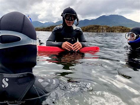 Dive Into The Unexpected Snorkel Ketchikan Alaska