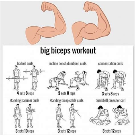 Big Biceps Workout Strong Arm Workout Yeah We Train Big Biceps