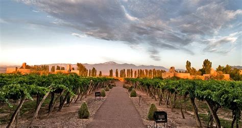 Argentina Wines Of The Andes Buenos Aires Salta And Mendoza Or Viceversa 10 Days By