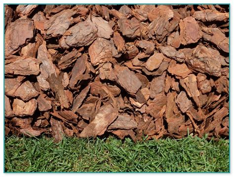 Best Wood Chips For Landscaping Home Improvement