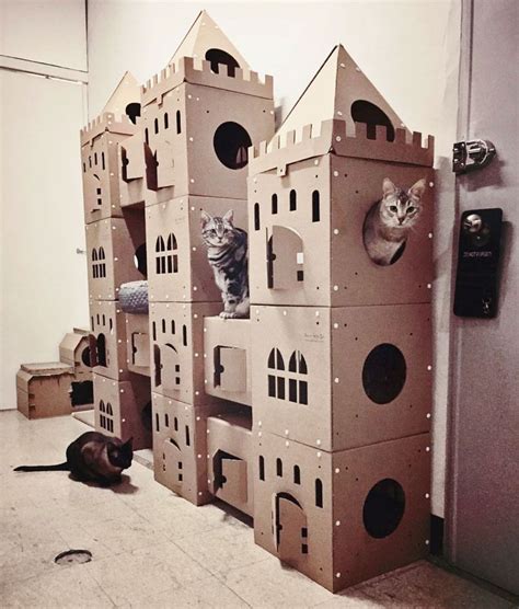 Cardboard Forts Cardboard Cat House Cardboard Castle Gato Diy Cat