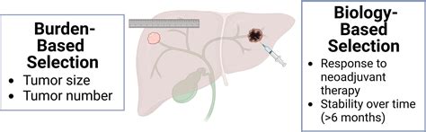 Frontiers Intrahepatic Cholangiocarcinoma The Role Of Liver