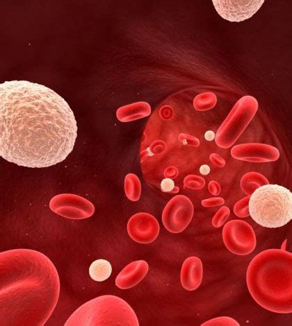 Because radiation therapy and chemotherapy destroy cells that grow at a fast rate, white blood cells are since white blood cells play an important role in preventing infection, any time your white blood cell count drops, you are at higher risk of getting an. Know What Causes Low White Blood Cells Count