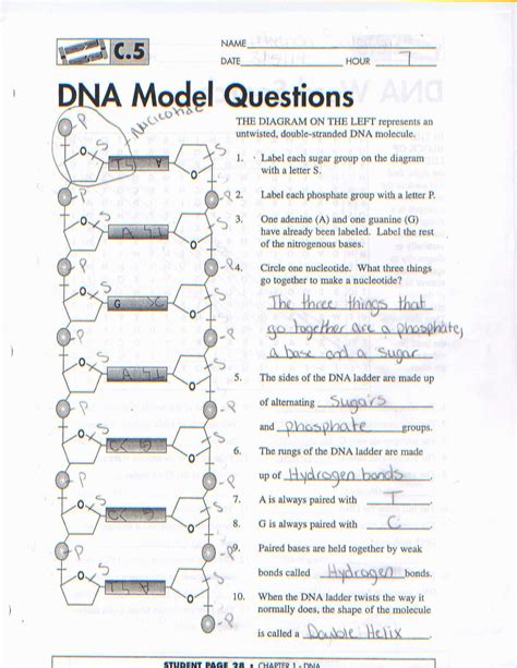 He came up with the quantum mechanical model of the atom. Atomic Structure Review Worksheet Answer Key | Briefencounters