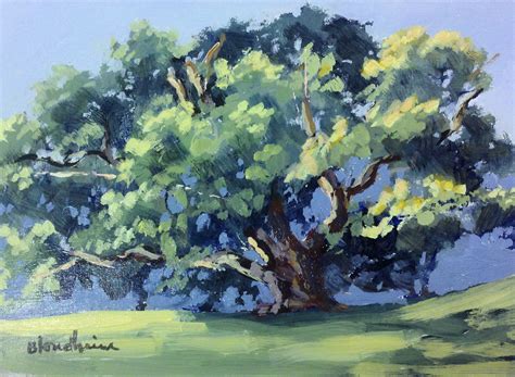 Tree Painter A Couple Of Live Oak Studies