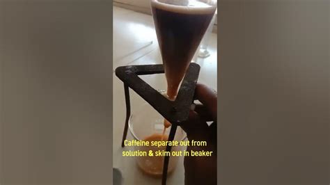 Extraction Of Caffeine From Black Tea How To Extract Caffeine From Tea