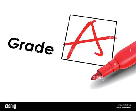 Grade A Stock Vector Images Alamy
