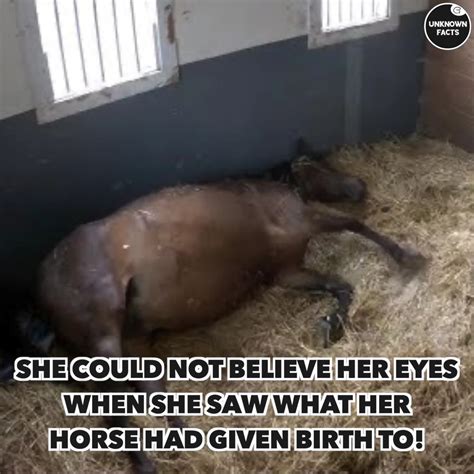She Could Not Believe Her Eyes When She Saw What Her Horse Had Given