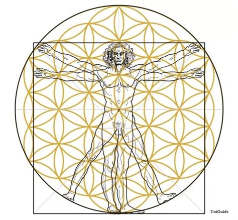 the ultimate guide to the flower of life discover its hidden secrets the conscious vibe