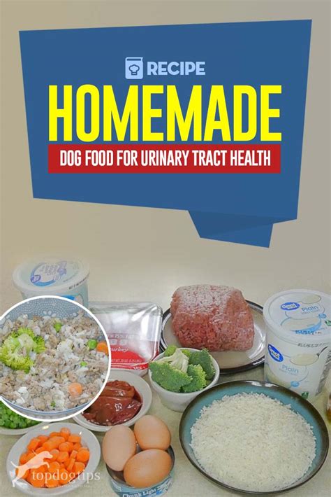 This increases the cat's water intake, dilutes the urine and decreases the probability of crystals. Homemade Dog Food for Urinary Tract Health Recipe