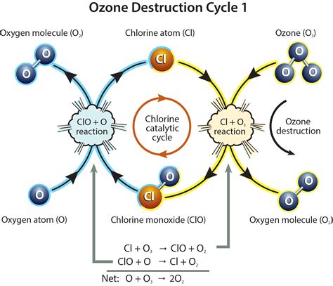 Scientific Assessment Of Ozone Depletion 2018 Twenty Questions And