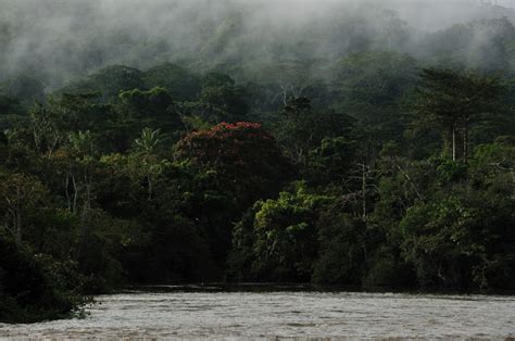 Imparare Con La Geografia 44 Il Pianeta Terra Le Foreste Equatoriali