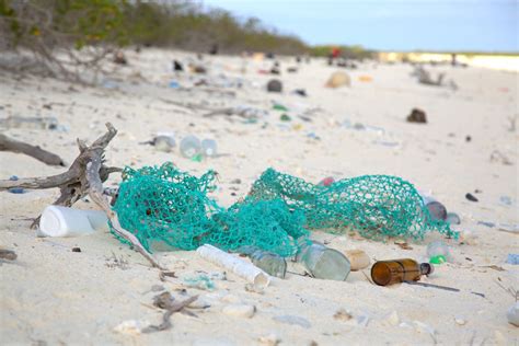 How Currents Carry Marine Debris To The Hawaiian Islands Or R S