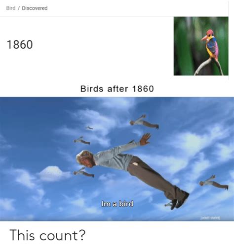 Bird Discovered 1860 Birds After 1860 Im A Bird Adult Swim This Count