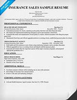 Insurance Agent Resume Pictures