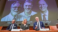 Nobelpreis: Die Auszeichnung für Medizin geht an drei Zellforscher | Wissen