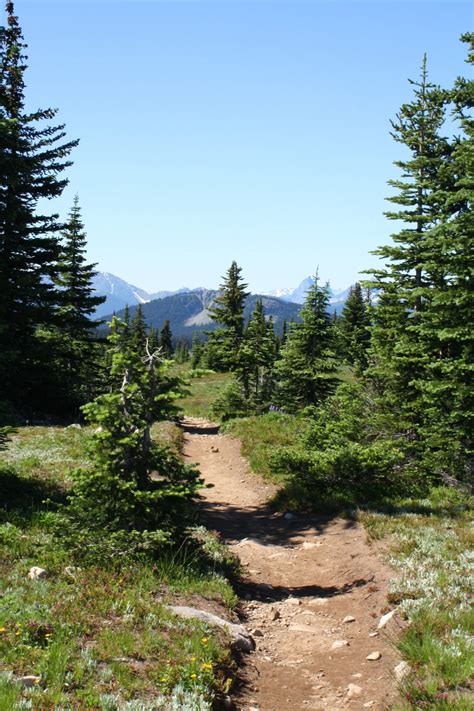 The Heather Trail In Manning Park Bc Vancouver Trails