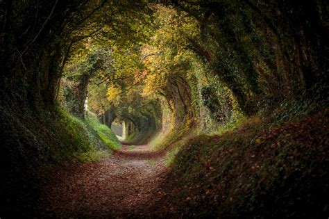 Halnaker Tunnel By Leecarpenter