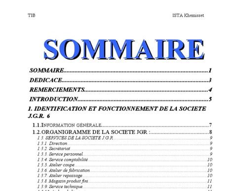 Exemple De Sommaire Dun Rapport De Stage Le Meilleur Exemple