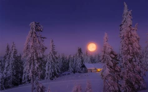 Full Moon On A Winter Night Hd Wallpaper Background