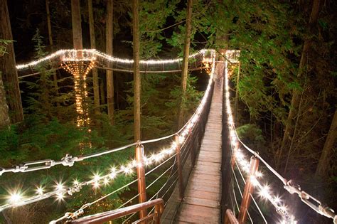 Miles De Luces Adornan Un Bosque En Canadá Y Lo Hacen El Lugar Más