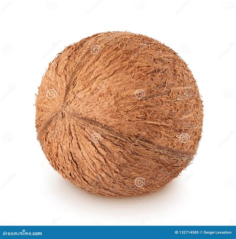 Single Coconut Isolated On A White Background Stock Image Image Of