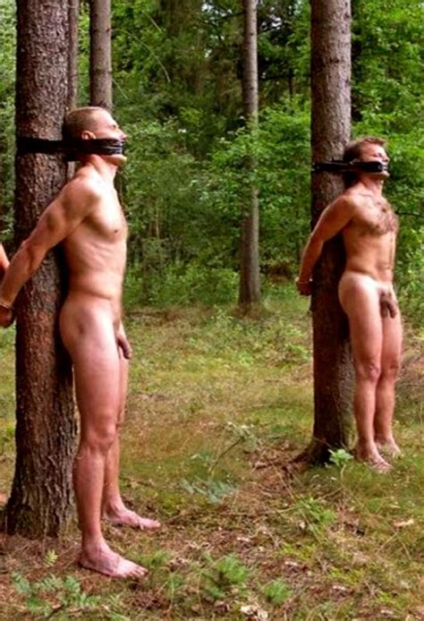 Men Tied Up Naked In Forest BDSM Fetish