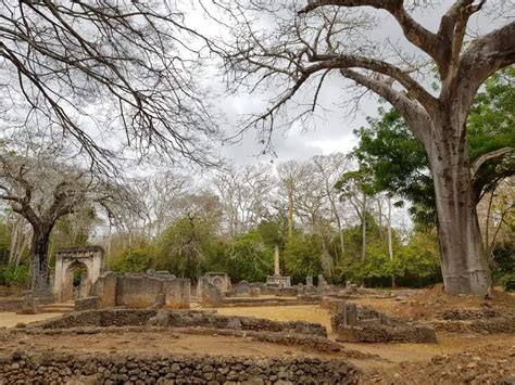 Gede Ruins Exploring An Ancient Swahili Village Conversant Traveller