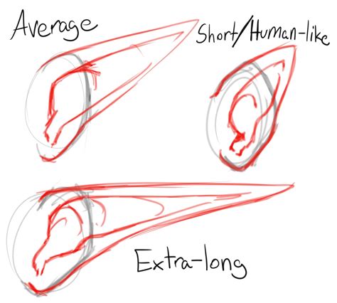 How To Draw Pointed Elf Ears Draw Central