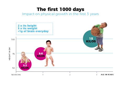 The First 1000 Days A Unique Window Of Opportunity To Shape Lifelong