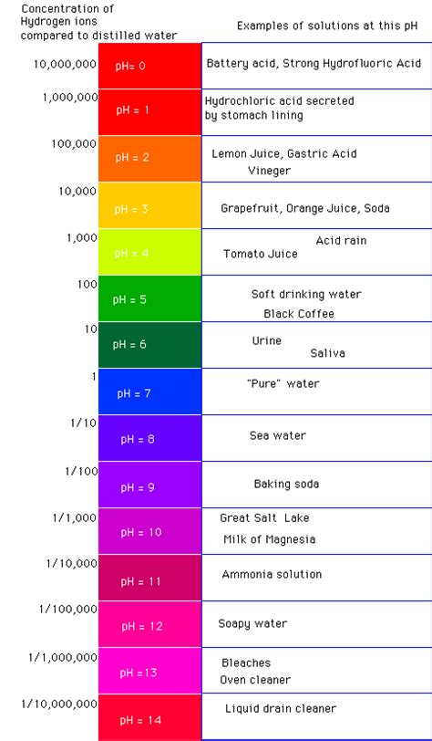 In my experience, foods that are easier on the stomach are predigested—in other words, they're treated with temperature, fermentation, grinding, or more. RAW, LIVING FOODS: The pH Scale - Alkaline and Acid