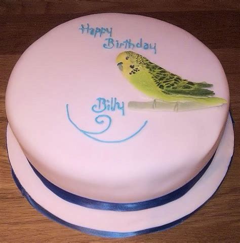 Parakeet Cake Parakeet Art Bird Birthday Parties Budgies